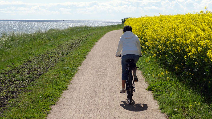 Fahrrad Touren an der Ostseeküste von Klausdorf